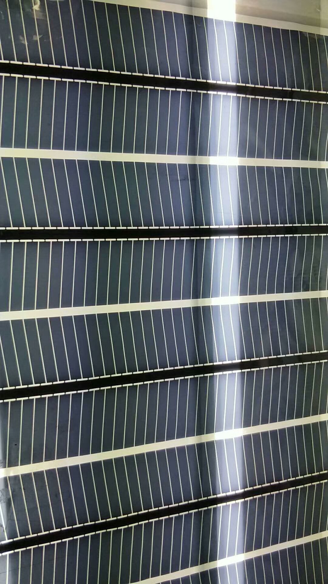 mmexport1517965438280